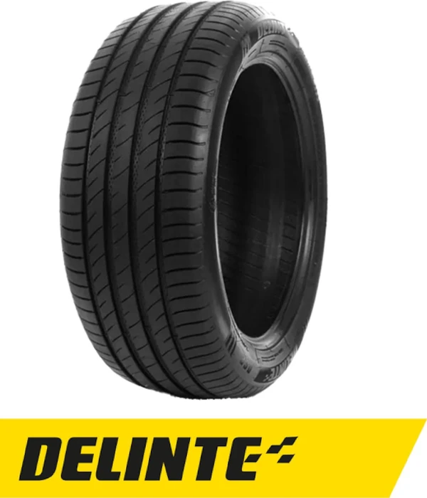 Delinte DS2