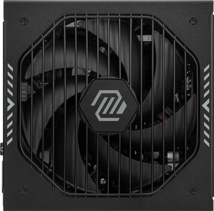 MSI MAG A1000GLS PCIE5 1000W, ATX 3.1