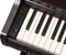 Yamaha Arius YDP-166 Rosenholz Vorschaubild