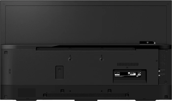 Sony FWD-49X80H/T, 49"