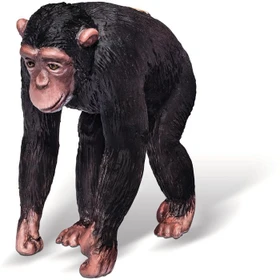 Ravensburger tiptoi Spielfigur: Schimpanse