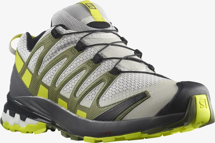 Salomon XA Pro 3D V8 lunar rock/evening primrose/olivine (Herren)