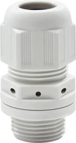 Wiska ESVG 25 LG Druckausgleichsverschraubung, Kunststoff, RAL 7035, M25