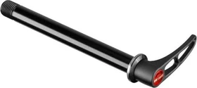 DT Swiss RWS Thru Axle 12x100 TA Steckachse vorne