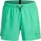 Arena Evo 36.5cm Badeshorts (Herren) Vorschaubild