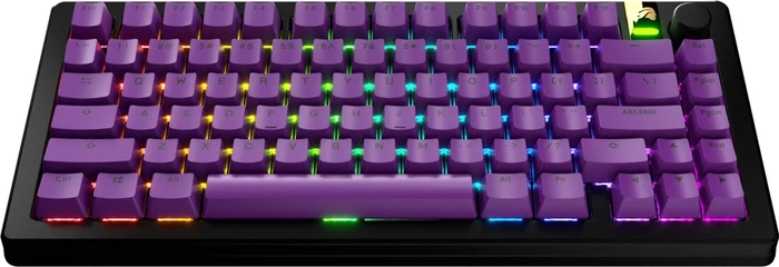 Glorious GPBT Basics Keycaps, Kunststoff (PBT), Epic Purple, violett, 130 Tasten, ANSI-US