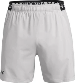 Under Armour Vanish Hose kurz halo gray/black (Herren)