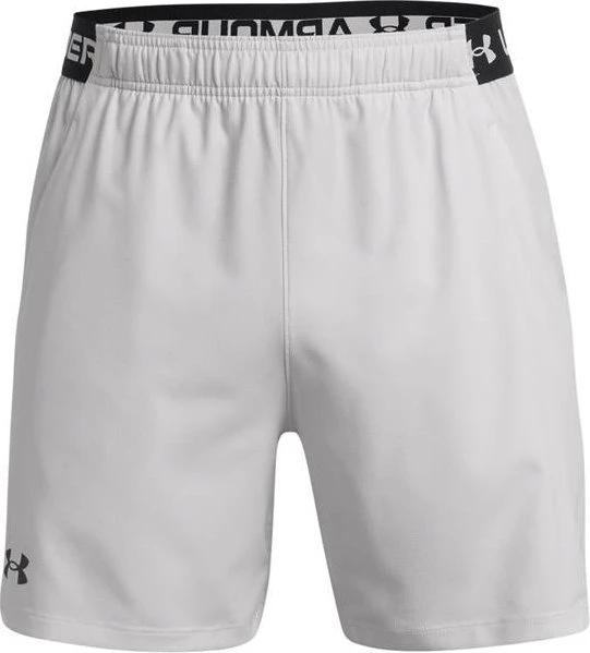 Under Armour Vanish Hose kurz halo gray/black (Herren)