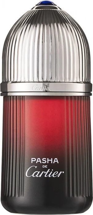 Cartier Pasha Noir Sport Eau de Toilette, 100ml