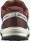 Salomon Outrise GTX ponderosa pine/bitter chocolate/vanilla ice (Herren) Vorschaubild