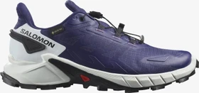 Salomon Supercross 4 GTX astral aura/white/black (Damen)