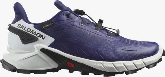 Salomon Supercross 4 GTX astral aura/white/black (Damen)