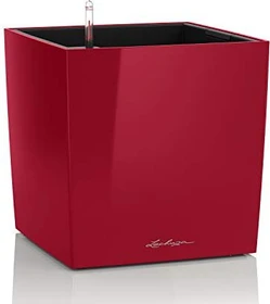Lechuza Cube 50 scarlet rot hochglanz