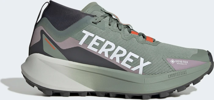 adidas Terrex Agravic GTX Trail silver green/cloud white/preloved fig (Damen)