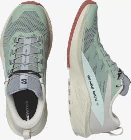 Salomon Sense Ride 5 lily pad/rainy day/bleached aqua (Herren)