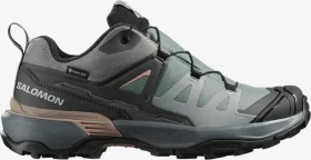 Salomon X Ultra 360 GTX sedona sage/urban chic/etherea (Damen)