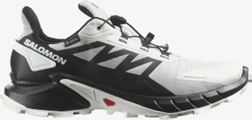 Salomon Supercross 4 GTX lunar rock/black/white (Herren)