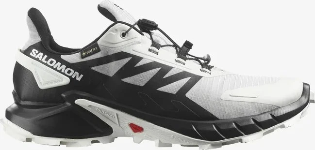 Salomon Supercross 4 GTX lunar rock/black/white (Herren)