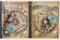 Der Herr der Ringe 3 - Die Rückkehr des Königs (Special Editions) (DVD) Vorschaubild