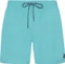 Protest Faster Badeshorts (Herren) Vorschaubild