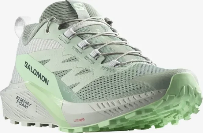 Salomon Sense Ride 5 lily pad/metal/green ash (Damen)
