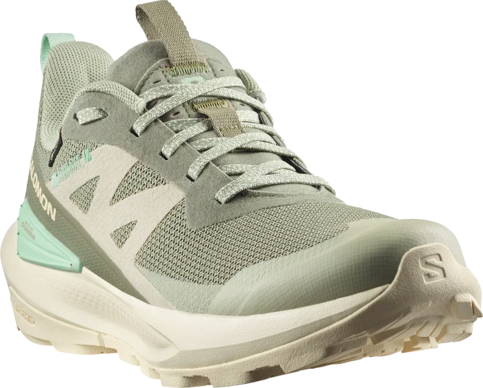 Salomon Elixir Activ Low GTX deep lichen green/tea/lichen (Damen)