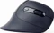 Gembird Ergonomic 6-Button Wireless Optical Mouse ERGO-03 schwarz, USB Vorschaubild