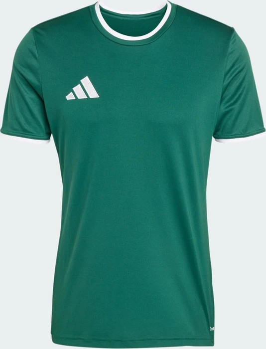adidas Entrada 26 Trikot kurzarm team dark green/white (Herren)