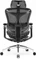 Sihoo Doro C300 Pro Ergonomischer Bürostuhl, schwarz Vorschaubild