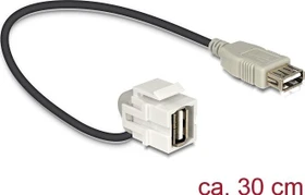 DeLOCK Keystone Modul USB-A 2.0 Buchse via USB-A 2.0 Buchse, 110°, mit Kabel, weiß (86327)