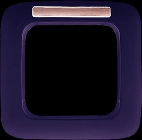 Busch-Jaeger Busch-Duro 2000 SI Abdeckrahmen 1-fach