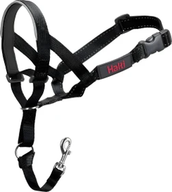 Company of Animals Halti Headcollar, Halfter, schwarz, Größe 1