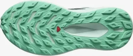 Salomon Glide Max TR ebony/blue haze/cockatoo (Damen)