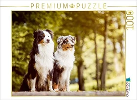 Calvendo Ein Motiv aus dem Kalender Australian Shepherds Kalender 2017