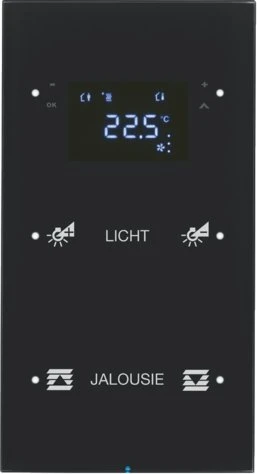Berker KNX R.3 Touchsensor 2-fach mit Temperaturregler schwarz, konfiguriert