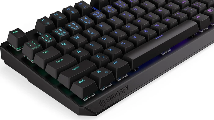 Endorfy Thock TKL Wireless, LEDs RGB, hot-swap, Kailh Box RED, USB/Bluetooth, CZ