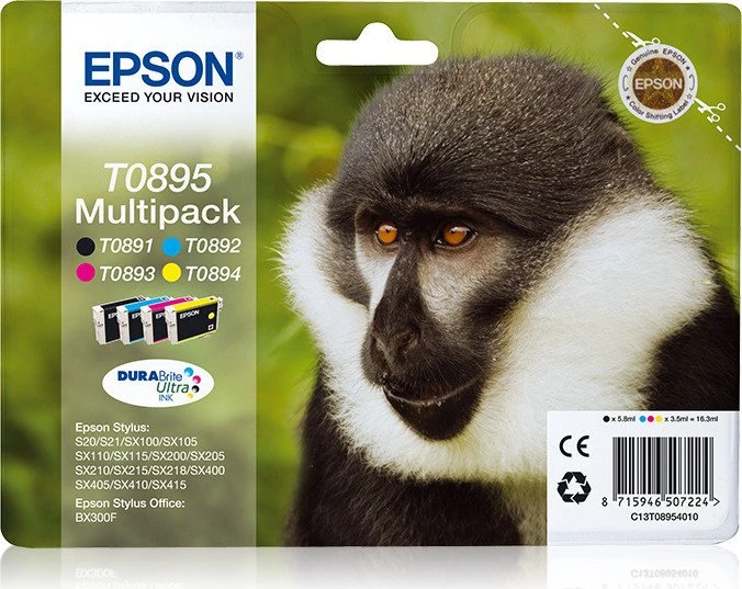 Epson Tinte T089
