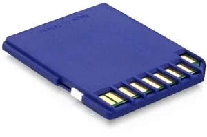 DeLOCK R17/W11 16GB, Class 10