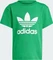 adidas Adicolor Trefoil T-Shirt kurzarm grün (Junior) Vorschaubild