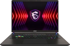 MSI Vector 16 HX A14VIG-826, Cosmos Gray, Core i9-14900HX, 32GB RAM, 1TB SSD, GeForce RTX 4090, DE