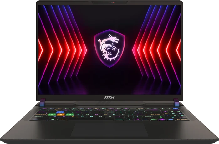 MSI Vector 16 HX A14VIG-826, Cosmos Gray, Core i9-14900HX, 32GB RAM, 1TB SSD, GeForce RTX 4090, DE