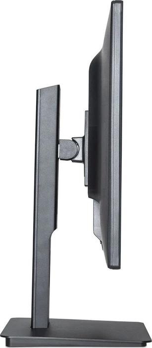 Wortmann Terra LED 2456W PV V4, 23.8"
