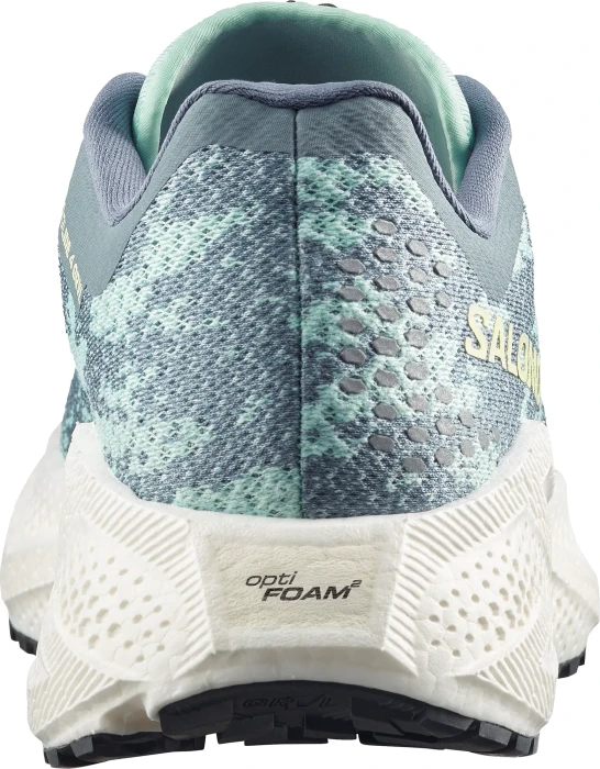 Salomon Aero Glide 4 GRVL stormy weather/lichen (Herren)