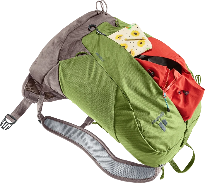 Deuter AC Lite 17 meadow/pepper