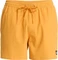 Quiksilver Everyday Flex 15" Badeshorts (Herren) Vorschaubild