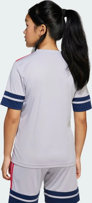 adidas Squadra 25 Trikot kurzarm glory grey/team navy blue 2/pure ruby (Junior)