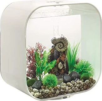 Oase biOrb Life 30 MCR Aquarium weiß