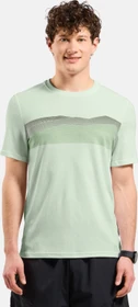 Odlo F-Dry Bergkamm-Print T-Shirt kurzarm ambrosia (Herren)