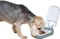 Kerbl Futterautomat Cat Mate C100, 400g, Timer, weiß Vorschaubild