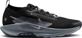 Nike Pegasus Trail 5 Gore-Tex black/cool grey/anthracite/wolf grey (Herren)